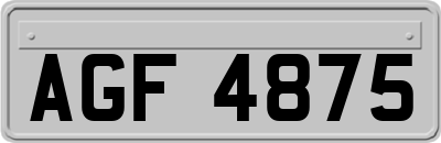 AGF4875