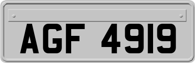 AGF4919