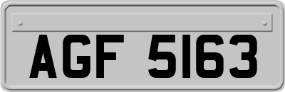 AGF5163