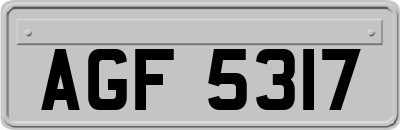 AGF5317