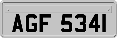 AGF5341