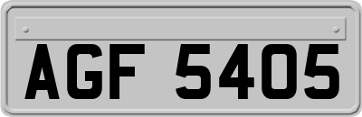 AGF5405
