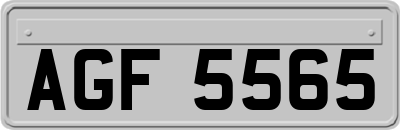 AGF5565