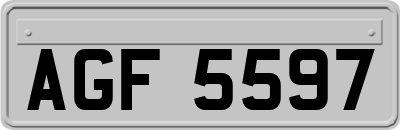 AGF5597