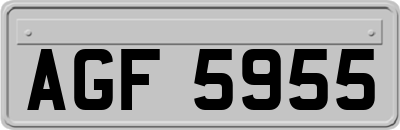 AGF5955