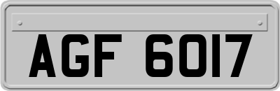 AGF6017