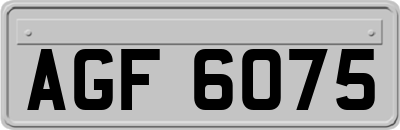 AGF6075