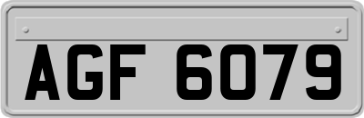AGF6079