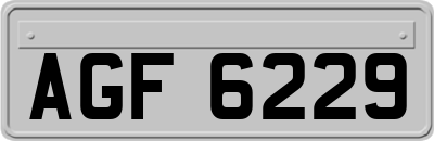 AGF6229