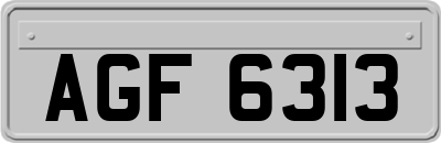 AGF6313