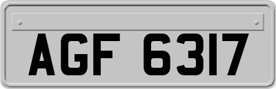 AGF6317