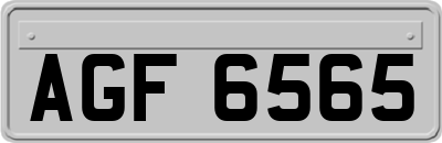 AGF6565