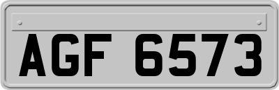 AGF6573