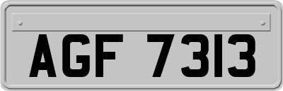 AGF7313