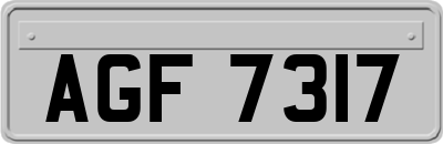 AGF7317