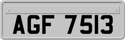 AGF7513