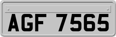 AGF7565