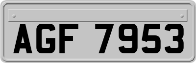AGF7953