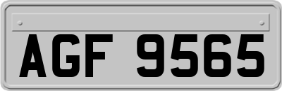 AGF9565
