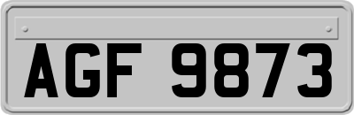 AGF9873
