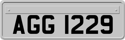 AGG1229