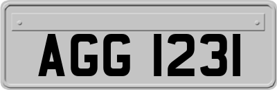 AGG1231