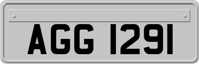 AGG1291