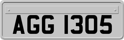 AGG1305