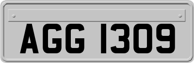 AGG1309