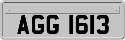 AGG1613