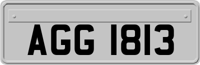 AGG1813