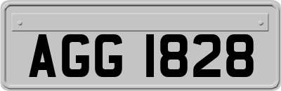 AGG1828