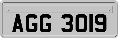AGG3019