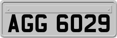 AGG6029