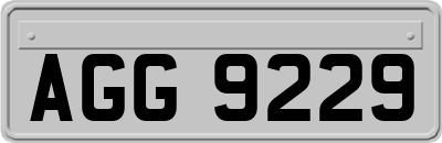 AGG9229