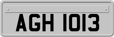 AGH1013