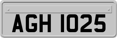 AGH1025