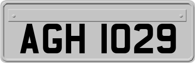 AGH1029