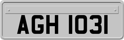 AGH1031