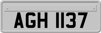 AGH1137