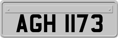 AGH1173