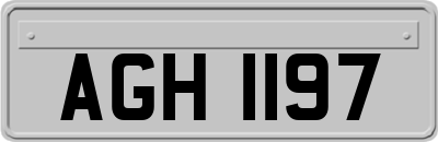 AGH1197