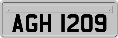 AGH1209