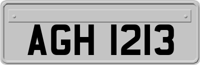 AGH1213