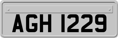 AGH1229