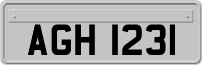AGH1231