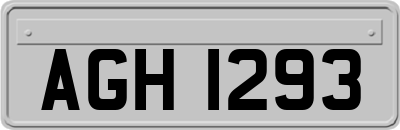 AGH1293