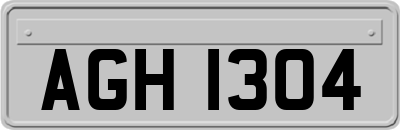 AGH1304