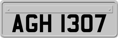 AGH1307