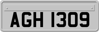 AGH1309